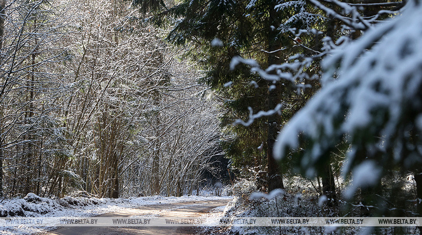 First snow of the season in Mogilev District