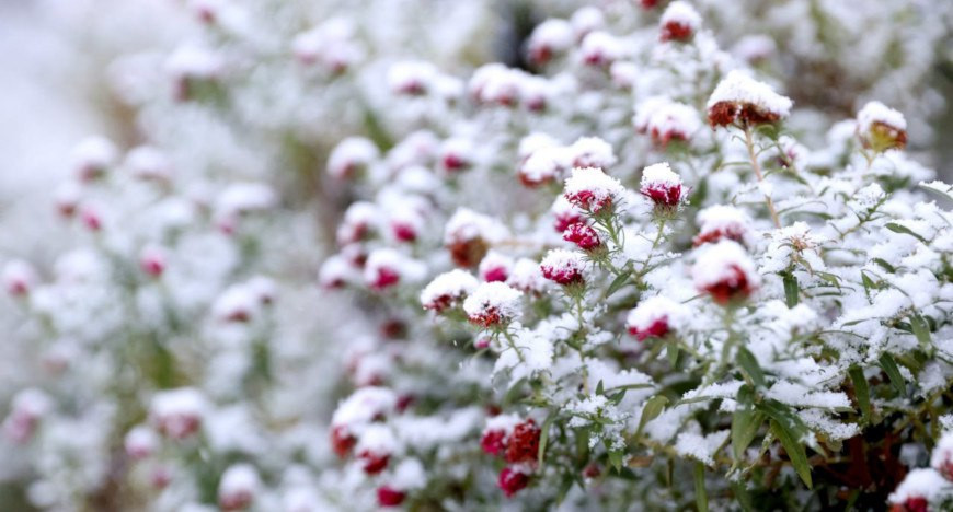 Minsk winter scenery  