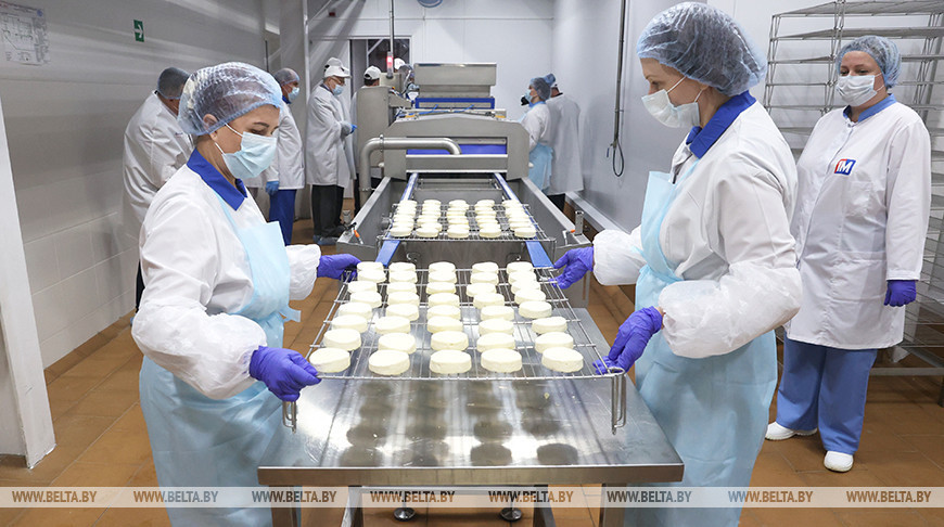 White mold cheese production launched in Vileika