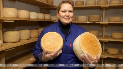  Lida resident opens cheese factory
 
  
  