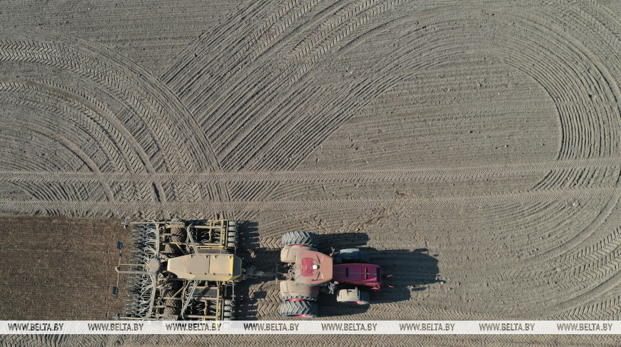 Spring field works in Belarus 