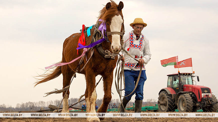 Sowing in Mogilev Oblast
  
  