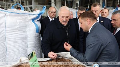 Lukashenko visits Petrikov District