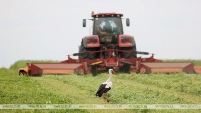 Grass cutting in Brest Oblast