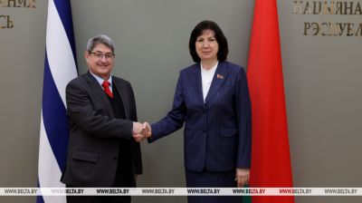 Kochanova meets with Cuban ambassador   