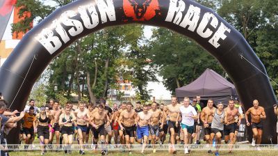 Bison Race in Brest 
  
 