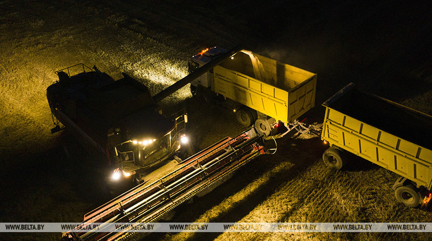 Late night harvest in Grodno District