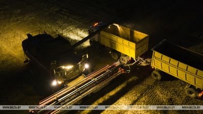 Late night harvest in Grodno District