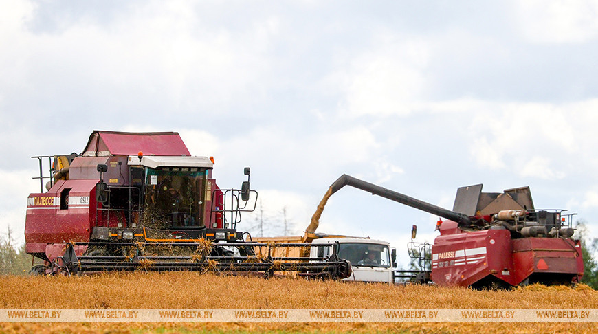 Harvest season in Belarus Harvest season in Belarus