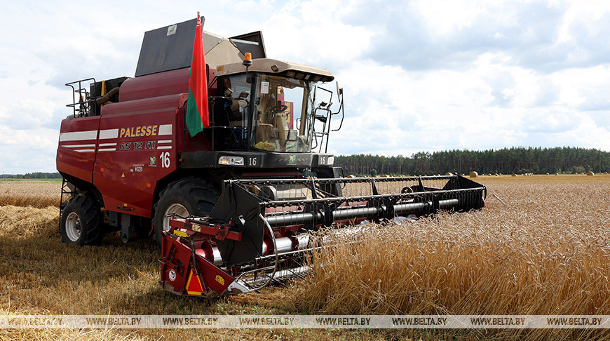 Minsk Oblast’s grain harvest reaches 2 million tonnes