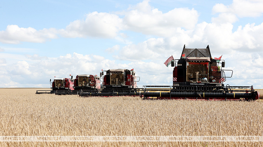 Harvest season in Belarus