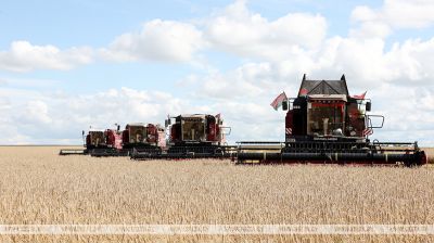 Harvest season in Belarus