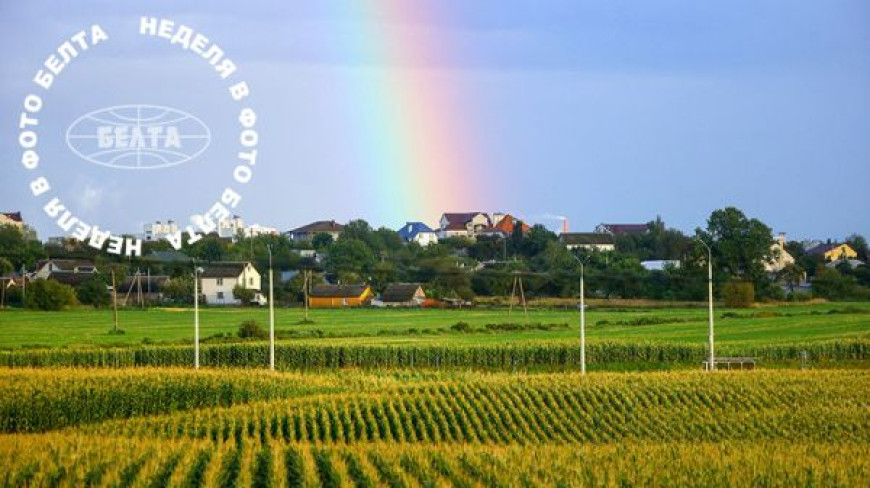  Rainbow