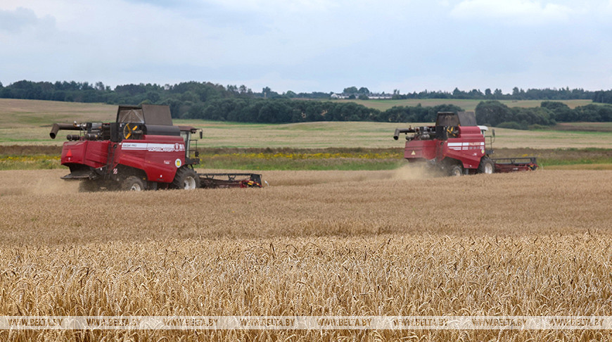 Harvest time in Vitebsk Oblast Harvest time in Vitebsk Oblast