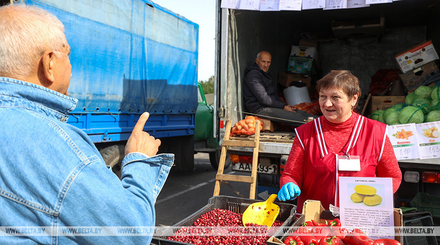  Farmers’ market in Brest
  