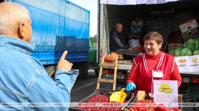  Farmers’ market in Brest
  