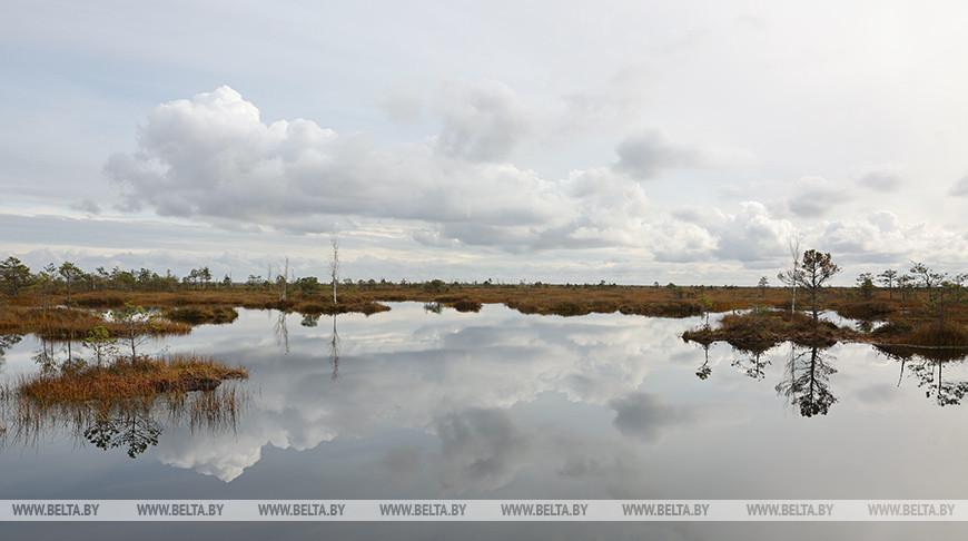  Yelnya Landscape Reserve
 
  
  