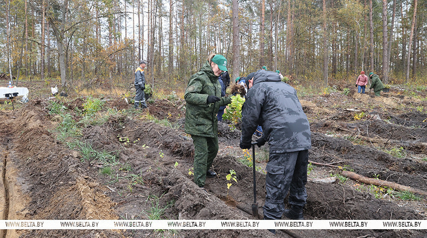  Bringing Forests Back to Life campaign in Gomel District
 
  
  