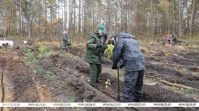  Bringing Forests Back to Life campaign in Gomel District
 
  
  
