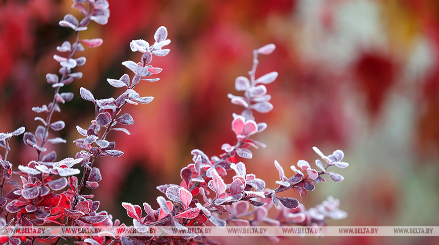 First freeze of the season in Grodno