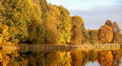 Scenic autumn landscape 