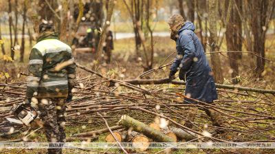 National subbotnik underway in Belarus National subbotnik underway in Belarus