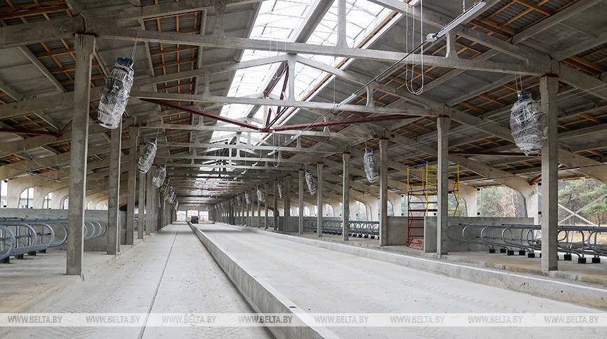 Large livestock complexes under construction in Brest District