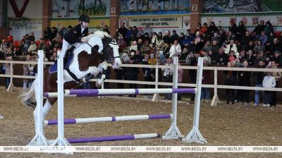 Pedigree horse show in Mogilev District