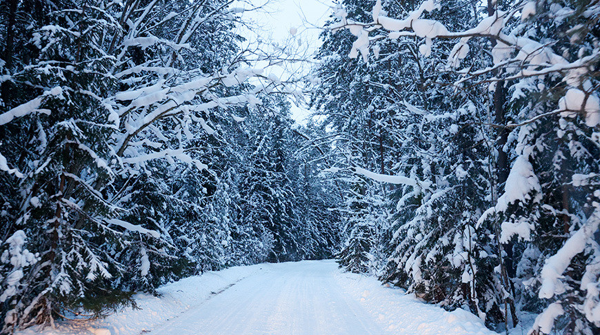 Winter landscapes in Belarus