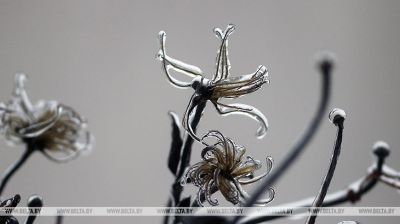 Glaze of ice blankets Grodno