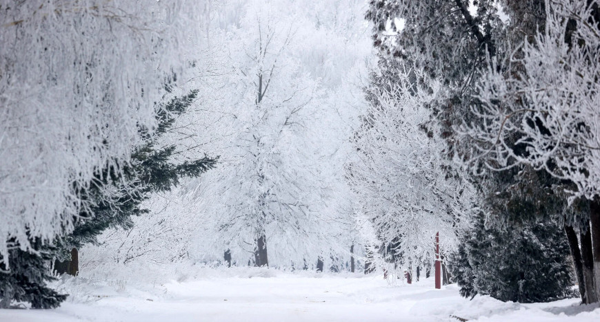 Winter landscapes in Belarus 