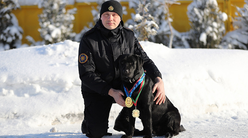 Belarusian rescue dog nominated for international award