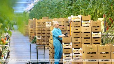 DORORS greenhouse production near Minsk
