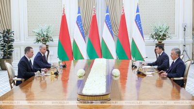 Turchin, Mirziyoyev meet in Tashkent