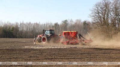 Brest Oblast begins selective early spring sowing