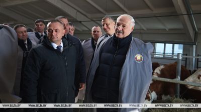 Lukashenko visits Dribin District