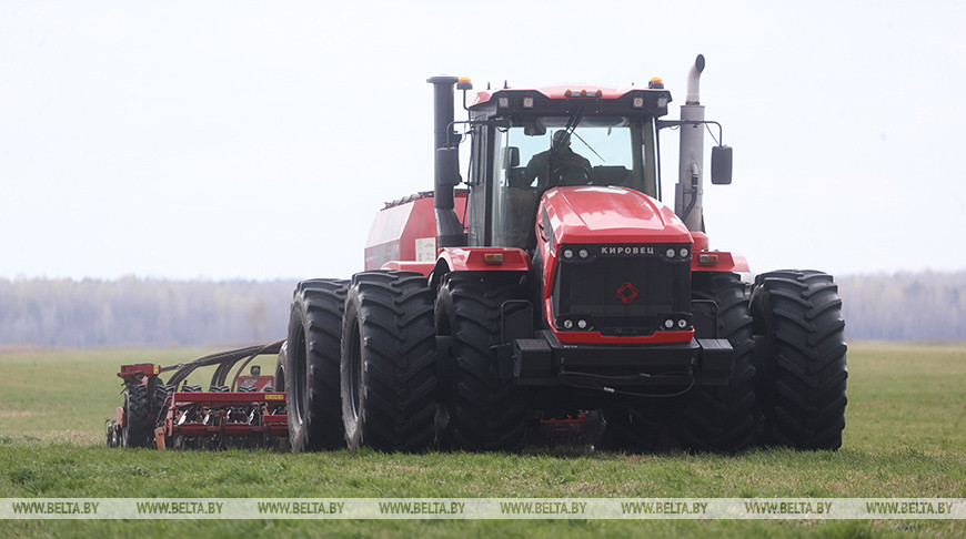 Spring field work in Luninets District