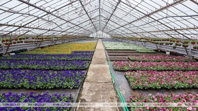 Brest flower growers gear up for summer season 
