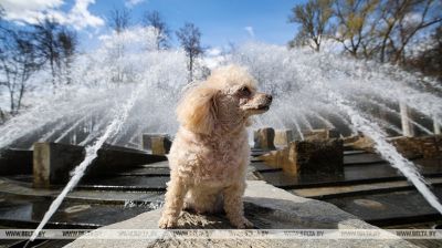 Fountain season kicks off in Minsk