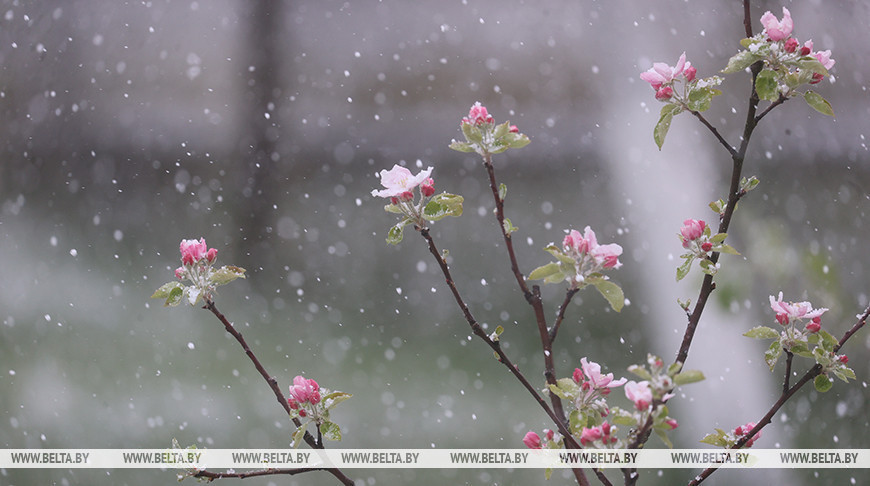 Wet snow descends on Grodno and Brest
  
  