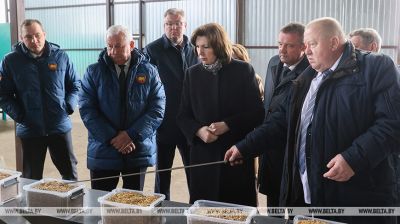 Kochanova visits Parokhonskoye agricultural enterprise