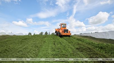 Grass harvesting in Molodechno District