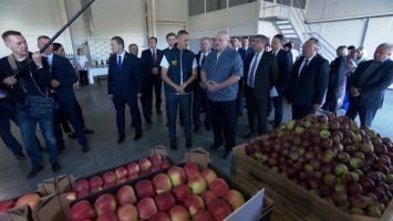 Lukashenko sets tasks for fruit industry 