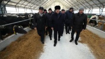 
Lukashenko pays working visit to Smolevichi District




