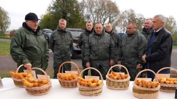 Lukashenko examines results of maize cultivation experiment