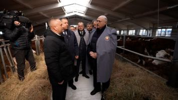 Belarus aims to double pedigree beef cattle population within five years