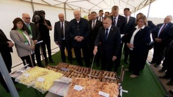 Lukashenko discusses potato harvest during trip to Mogilev Oblast