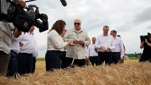 Lukashenko inspects Agrokombinat Zarya