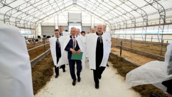 Lukashenko reviews the development of pedigree livestock farming during a trip to Uzda District