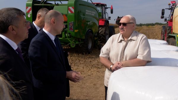 Lukashenko: Farmers have done excellent work this year
